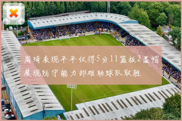 周琦表现平平仅得5分11篮板2盖帽展现防守能力却难助球队取胜