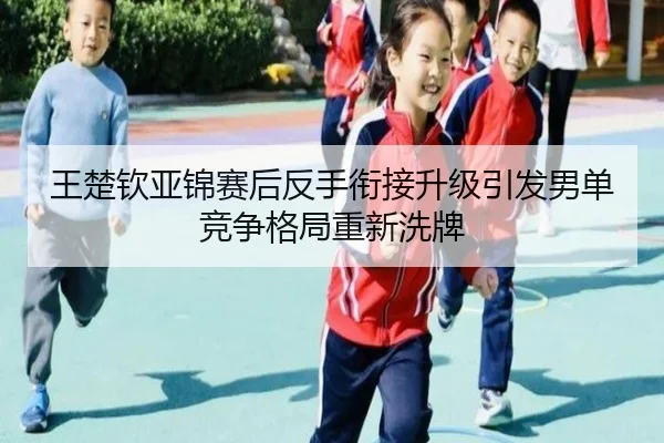 王楚钦亚锦赛后反手衔接升级引发男单竞争格局重新洗牌 | yabo